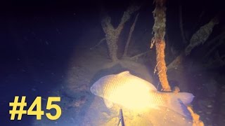 Подводная Охота #45 | Карп, Судак, Щука