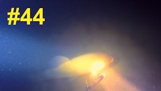Подводная Охота #44 ночью | Судак, Лещ, Щука, Линь