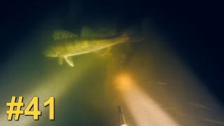 Подводная Охота #41 Атака Судака, Сом