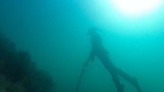 Подводная охота #29 на Черном море. Spearfishing on the Black Sea