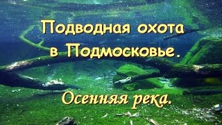 Подводная охота #19 в Подмосковье. Осенняя река