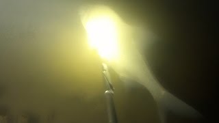 Подводная охота #14 ночью