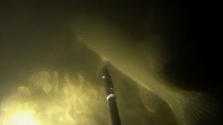 Подводная охота #9 с фонарем