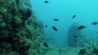Подводная охота на море #6