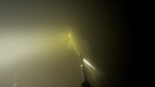 Подводная охота #6 ночная