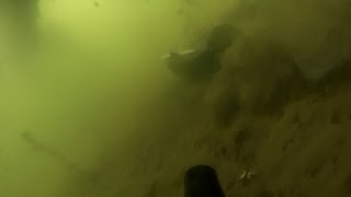 Подводная охота #3 в Подмосковье