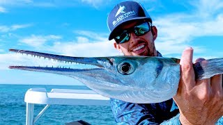Fishing for Aggressive Houndfish on the Flats in the Bahamas - 4K
