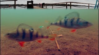 Рыбалка с причала зимой! Ловля окуня на балансир! Зимняя рыбалка 2018 и Подводная съемка