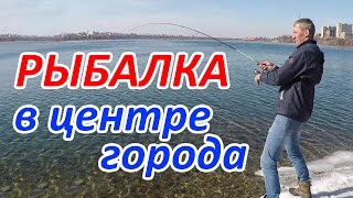 Рыбалка в центре Иркутска