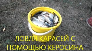 Ловля карасей с помощью керосина. Fishing for carp with the help of kerosene