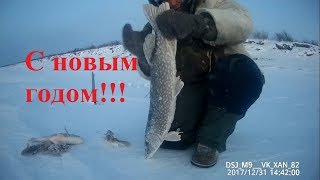 Клевая рыбалка с Новым годом! Якутия Yakutia
