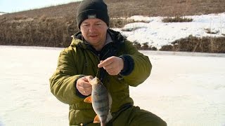 Рыбак Рыбаку 489 "Хищник последнего льда".