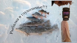 Рыбалка в глухозимье! Якутия Yakutia