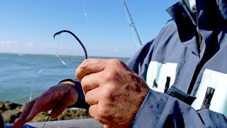 Hooked a Monster and it Broke the Hook! - ft. Lawson Bates - 4K