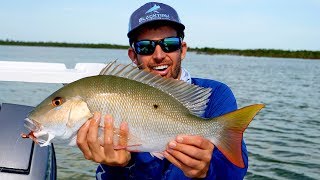 Sight Fishing Giant Snappers in less than 3ft of Water - 4K