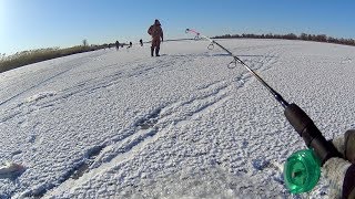 Они ломают крючки...! Ловля судака зимой на балансир. Зимняя рыбалка в Астрахани.