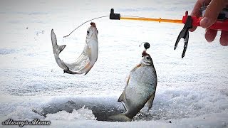 Зимняя рыбалка. СЧАСТЬЕ РЫБАКА, когда нашёл рыбу. Ловля белой рыбы и окуня. Отличный клёв.