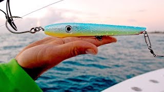 Fishing for Sharks with Topwater Lures, Live Bait and Float Rigs - 4K