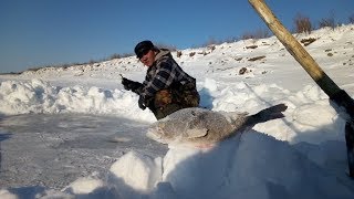 Приключения в поисках новых рыбных мест! Якутия Yakutia