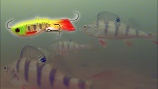 Реакция рыбы на Балансир Бабочка Подводная съемка Зимняя рыбалка 2018