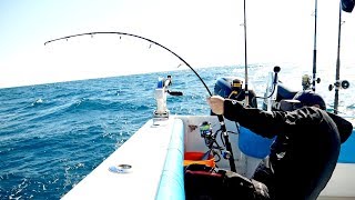 The Florida Cobia Fishing Challenge - 4K