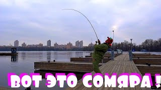 Рыбалка с фидером в центре Киева на Днепре!