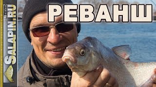 Рыбалка с фидером весной на Москва-реке: реванш! [salapinru]