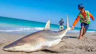 EPIC Day of Beach Fishing for Sharks and Pompano | Fan Episode - 4K