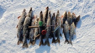 Закрытие подледной рыбалки 2018 в Якутии! Yakutia