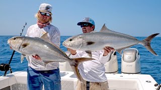 Absolutely INSANE Topwater Amberjack Fishing Action