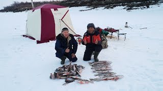 Охота и рыбалка в Якутии в гостях у Клевой рыбалки! Yakutia
