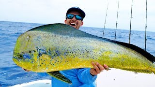 Monster Dolphin in the Florida Keys, Catch N Cook - 4K
