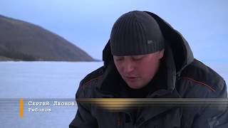 Байкальский омуль