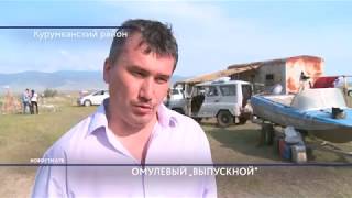 2,5 млн мальков байкальского омуля выпустили в Курумканском районе