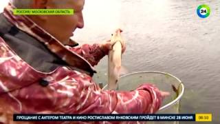 Хорошего клева  Россия празднует День рыболовства