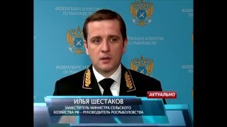 Интервью Ильи Шестакова телеканалу «АГРО ТВ»