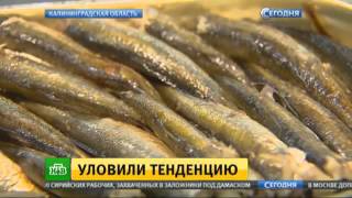 Российские производители рыбы стремятся вытеснить импорт с прилавков