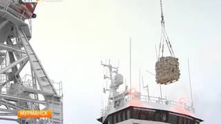 Сардина из Африки увеличила грузооборот Мурманского рыбного порта на 20 процентов