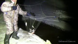 Рыбалка на пауки и круги ночью. Фонарь MT18 от магазина LEDLENSER