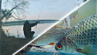 Рыбалка на Фидер и Поплавок с Батей 2020!