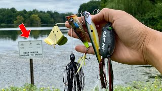 EXPERIMENT: Finding the BEST Topwater Lure for Summer Fishing!!! (SURPRISE CATCH)