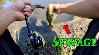 CATCHING FISH FROM A SEWER!!! (ABSURD 100 Degree Fishing CHALLENGE)