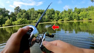 NEW SECRET LURE for SUMMER POND FISHING!!! (Underwater footage)