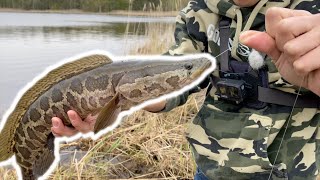 INCREDIBLE Day Fishing for MONSTER FRANKENFISH!!! (Surprise Catch)