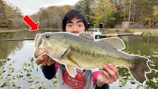 EXPLORING a NEW Fishing Hole!!! (Unexpected Results) ***AREA 11 UPDATE***