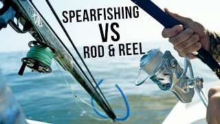 Spearfishing VS Rod & Reel