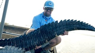 Fishing for GIANT Alligators - My First-Ever Gator Trip!!