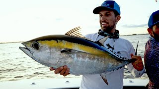 INSANE Dusk Tuna Bite in Florida