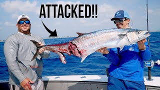 Crazy Kingfish Fishing, Barracuda Attack and Hammerhead