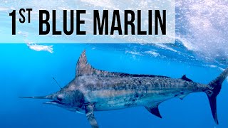 Caught My FIRST Blue Marlin!!